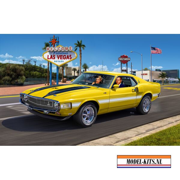 Shelby Mustang GT500 1970 6
