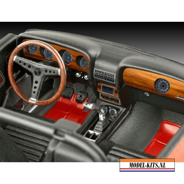 Shelby Mustang GT500 1970 8