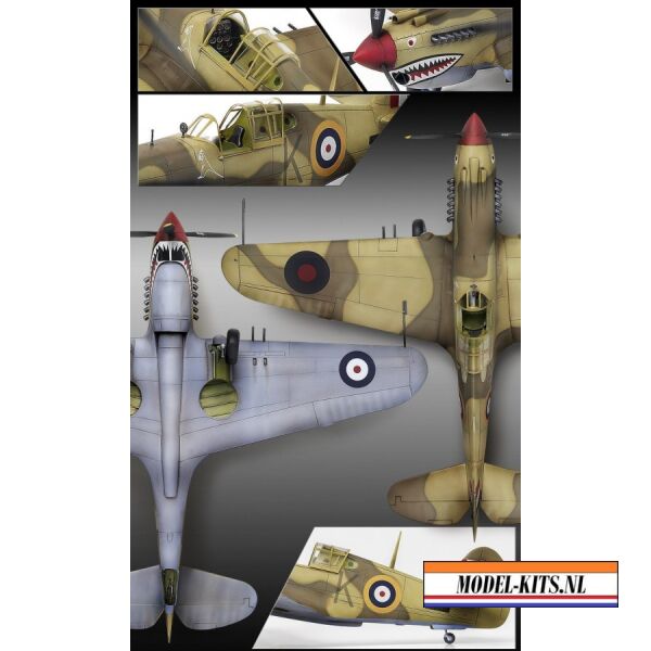 Tomahawk IIB Ace of African Front 1
