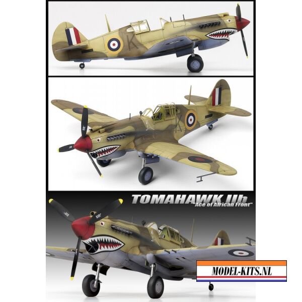 Tomahawk IIB Ace of African Front 2