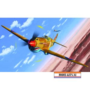 Tomahawk IIB Ace of African Front 3