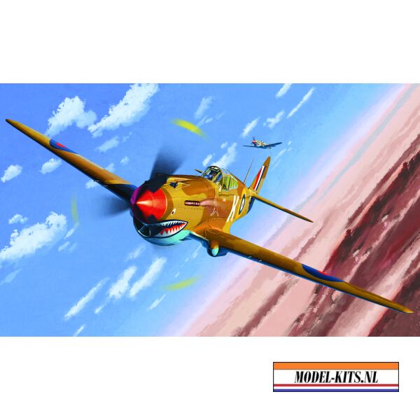 Tomahawk IIB Ace of African Front 3