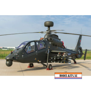 Z 19G Light Scout Attack Helicopter
