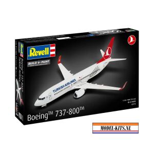 Boeing 737 800 Turkish Airlines 1