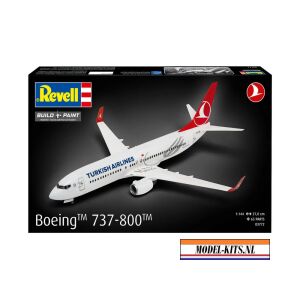 Boeing 737 800 Turkish Airlines 2