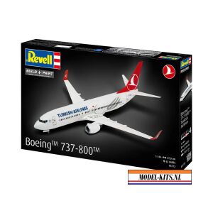 Boeing 737 800 Turkish Airlines 3