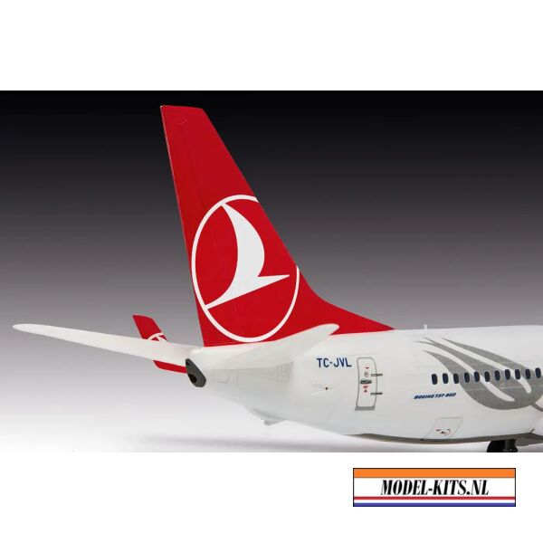 Boeing 737 800 Turkish Airlines 7