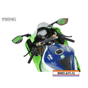 KAWASAKI NINJA ZX 10R PRE COLORED EDITION 3