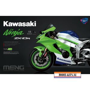 KAWASAKI NINJA ZX 10R PRE COLORED EDITION