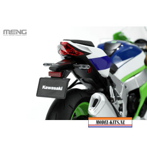 KAWASAKI NINJA ZX 10R PRE COLORED EDITION 5