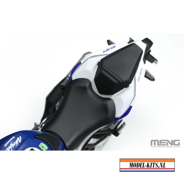 KAWASAKI NINJA ZX 10R PRE COLORED EDITION 6