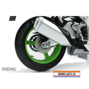 KAWASAKI NINJA ZX 10R PRE COLORED EDITION 8