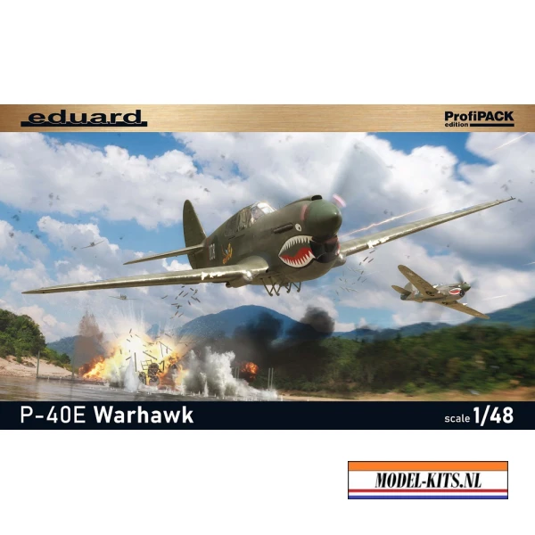 P 40E WARHAWK