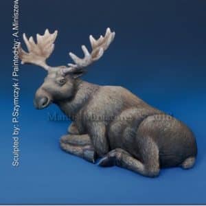ANIMALS SET 31