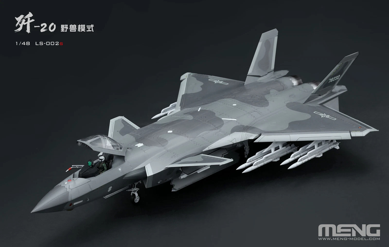 CHINESE J 20 STEALTH FIGHTER