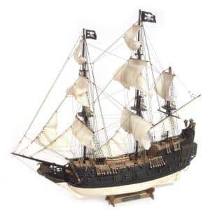 Cisne Negro (Black Swan)