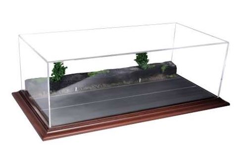 Diorama Based Display Case. Model Forest Road