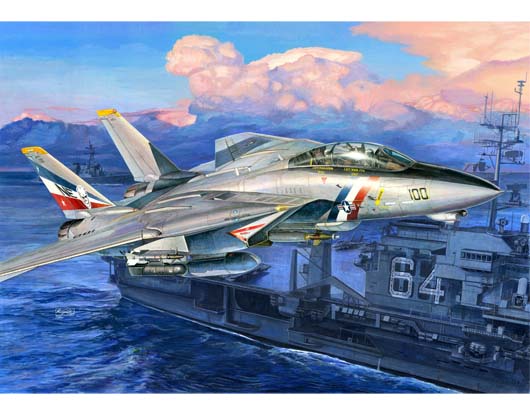 F 14D Super Tomcat