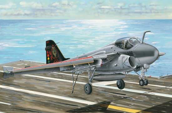 GRUMMAN A 6E INTRUDER
