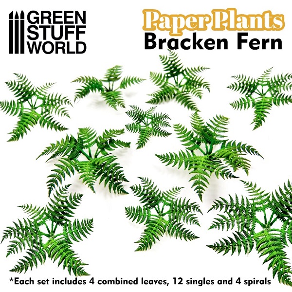 PAPER PLANTS   BRACKEN FERN