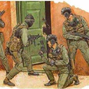 U.S. NAVY SEALS