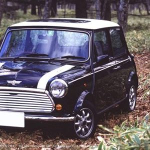 ecb8be85 0ff9 405d b558 37d90fadb9da