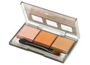 TAMIYA WEATHERING MASTER SET G (SALMON, CARAMEL, CHESTNUT)