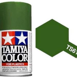TS 61 NATO GREEN (100ML)