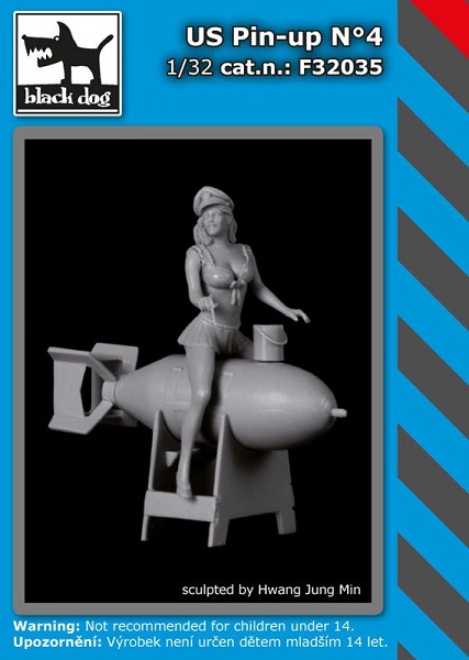 US PIN UP N°4